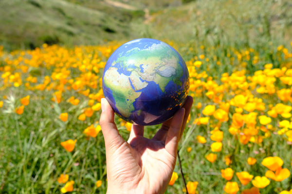 earth mova globe with garden